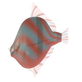 Pez disco (Symphysodon aequifasciatus)