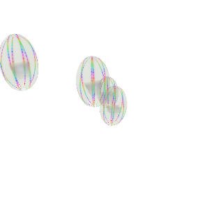 淡海栉水母 (Sea Walnut) (Mnemiopsis leidyi)