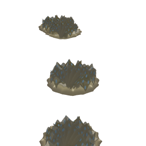 Upside-down Jellyfish (Cassiopea) (Cassiopea andromeda / C. xamachana)